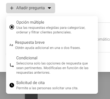 Tipos de preguntas en formulario de Meta Ads