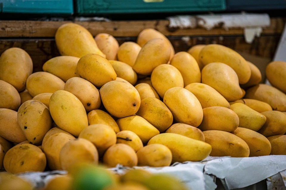 las ventas online de mango crecen