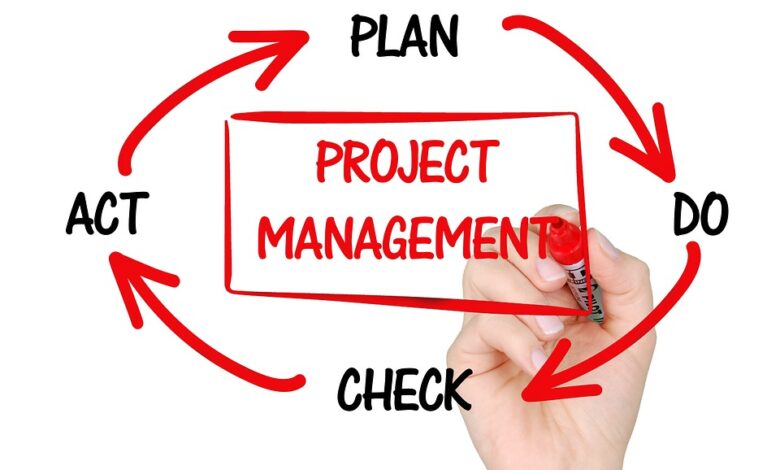 que es un project manager