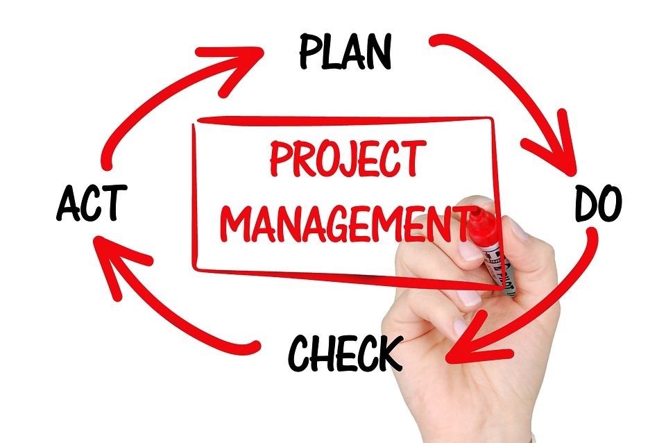 que es un project manager