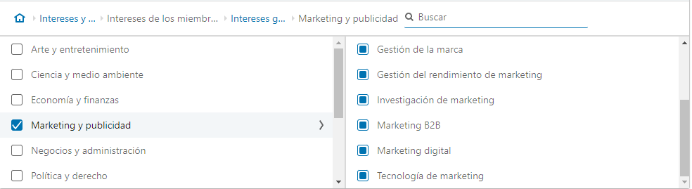 Intereses - LinkedIn Ads