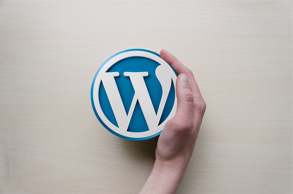 8 plugins de wordpress para ecommerce