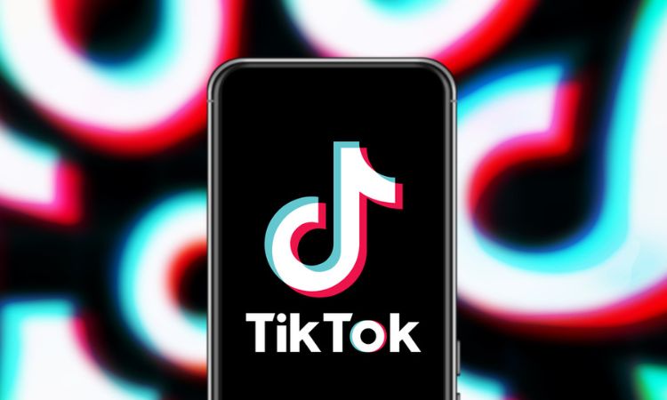 tako nuevo chatbot tiktok.jpg